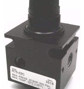 Regulador De Pressão R75-02c Parker